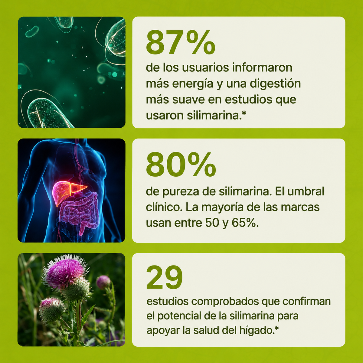 Uvora | Limpiá tu hígado