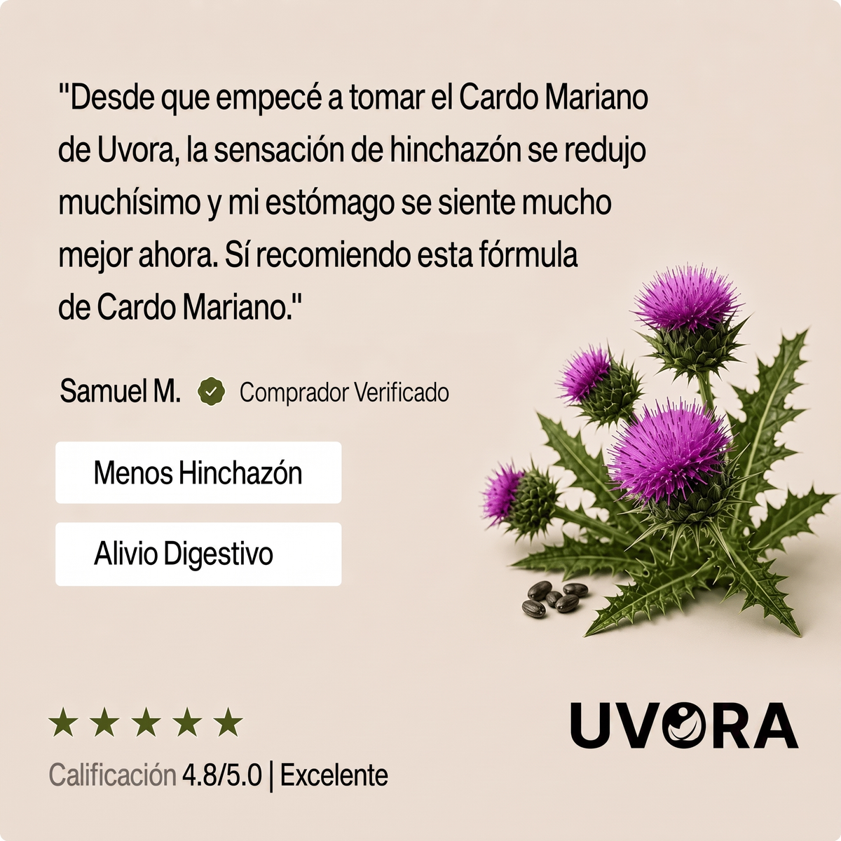 Uvora | Limpiá tu hígado