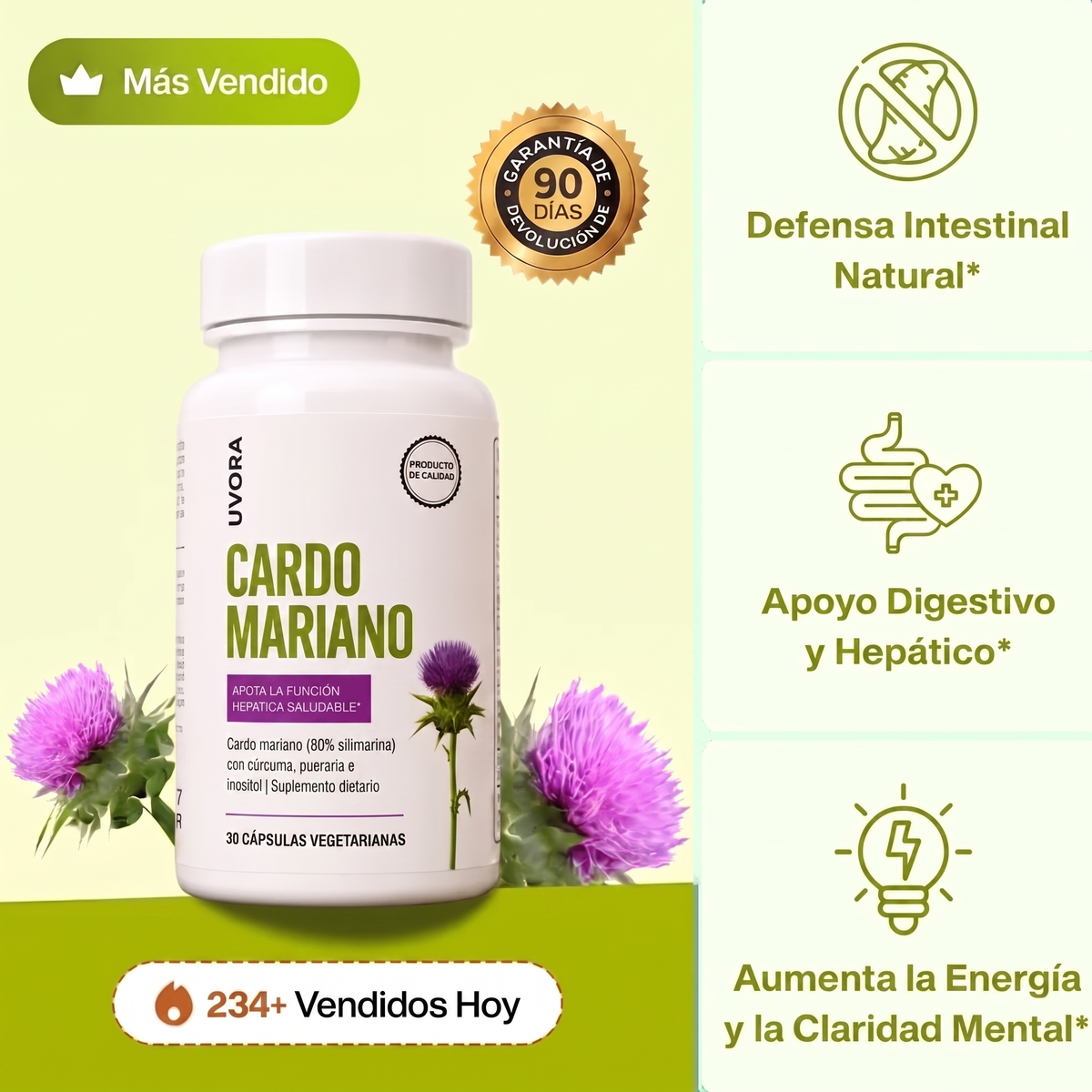 Uvora | Limpiá tu hígado